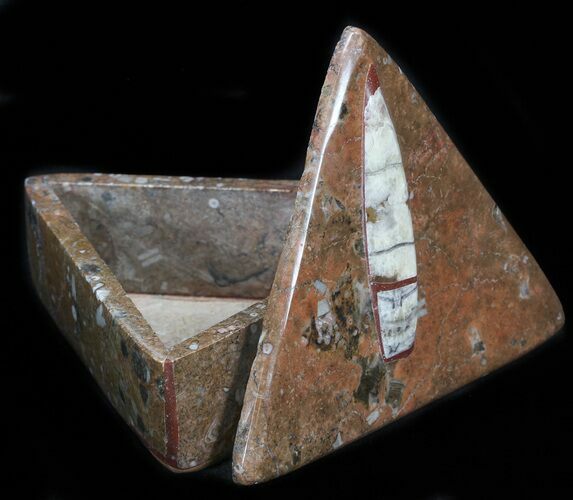 Fossil Orthoceras Box (Triangle) - Stoneware #35273